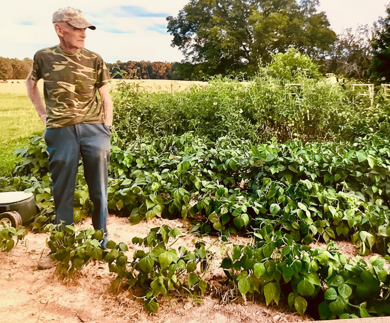 An older man in a work shirt and cap standing among rows of a tended vegetable garden on the family land